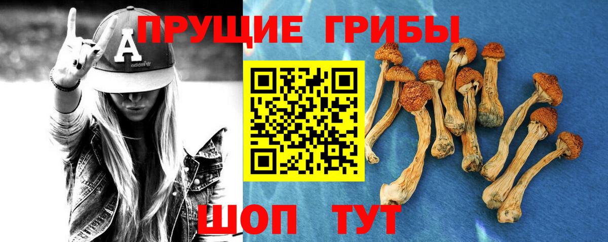 Псилоцибиновые грибы Cubensis Керчь